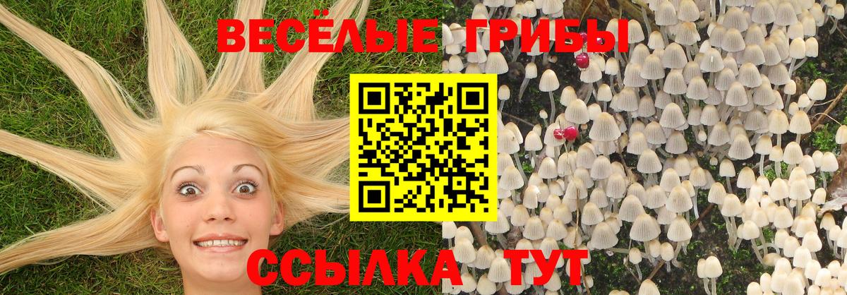 Псилоцибиновые грибы ЛСД  цена наркотик  Нарткала  Вход с VPN 